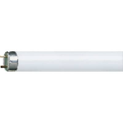 OSRAM Fluorescent tube EEC: G (A - G) G13 58 W Daylight white Tube shape (⌀ x L) 26 mm x 1514.2 mm 1 pc(s)