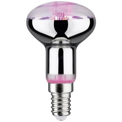 Paulmann LED grow light PAULMANN 230 V E14 4 W Amber 1 pc(s)