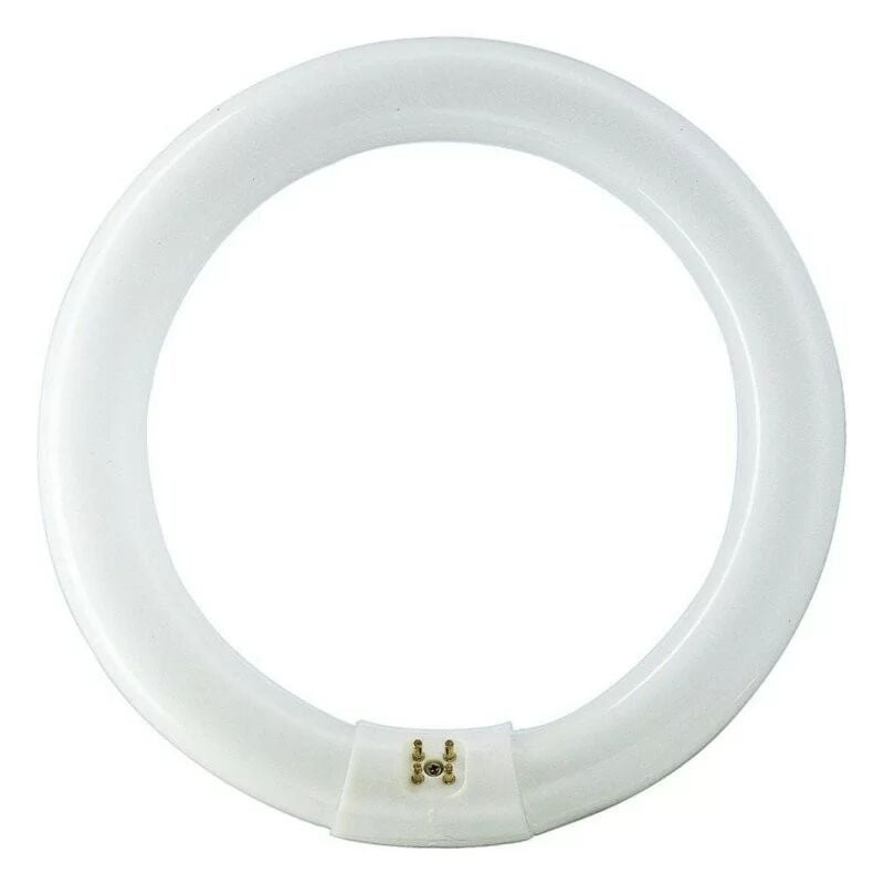 EHL - Philips 840551 Circular G10q 32W 865 master tl-e Super 80 Bulb