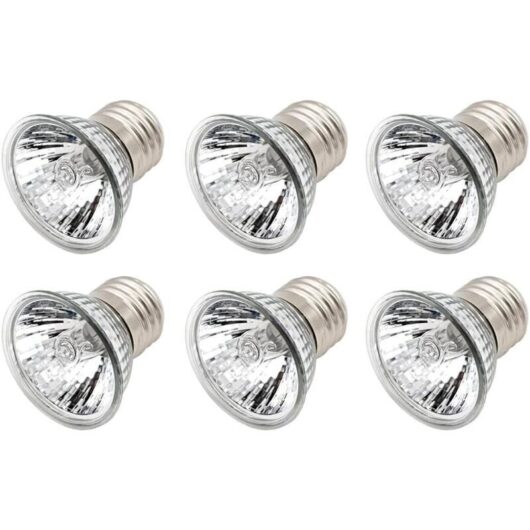 25W Heat Lamp Bulb for Turtles, UVA UVB Reptile Heating Bulb Lamp, for Reptiles, Lizards, Turtles, Aquariums (Pack of 6)