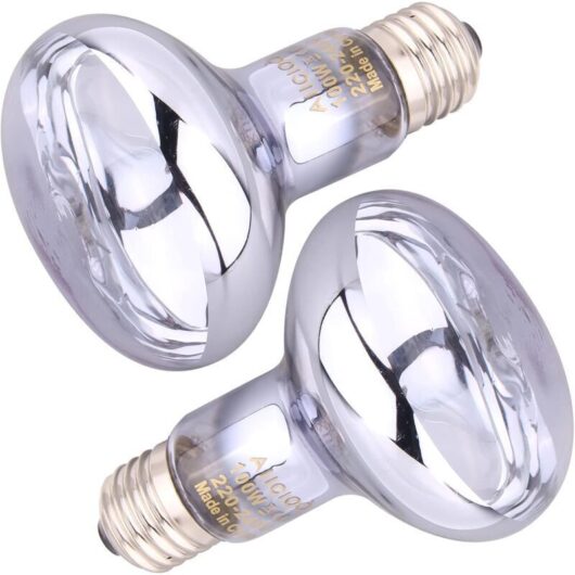 Daylight bulb heat lamps for reptiles and amphibians 100W pack of 2, white [Energy Class G]